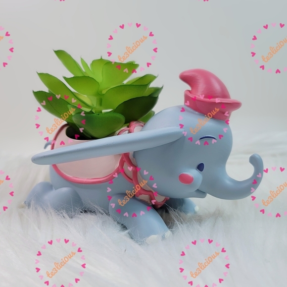 DISNEY JERROD MARUYAMA DUMBO SUCCULENT - Picture 3 of 8